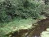 View from second bridge 2_thumb.jpg 2.9K